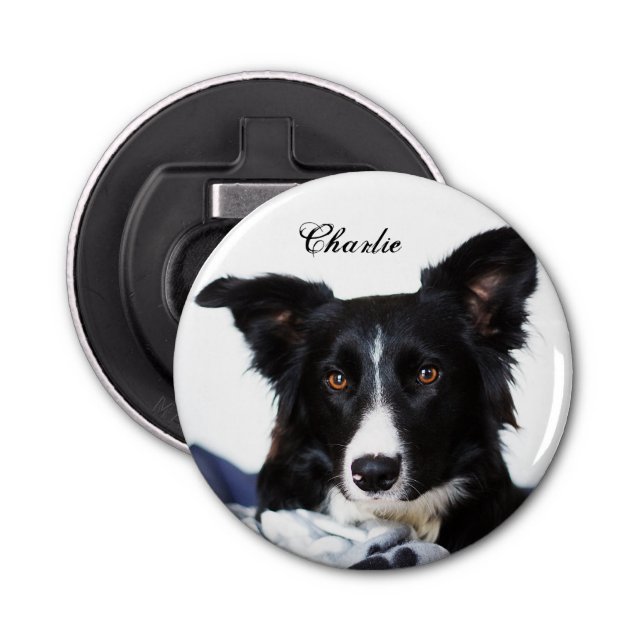 Personalized Black and White Border Collie Bottle Opener (Front)