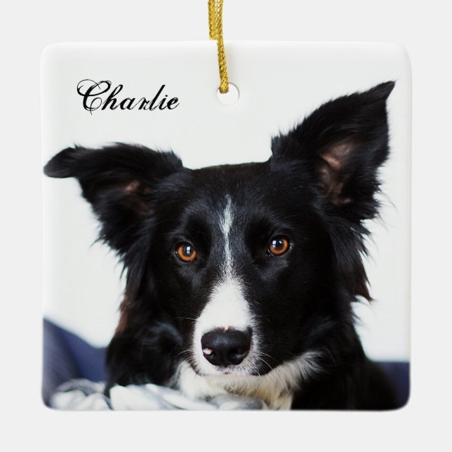 Personalized Black and White Border Collie Ceramic Ornament (Front)
