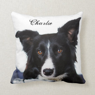 Personalized Black and White Border Collie Throw Pillow