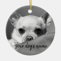 Personalized black and white chihuahua