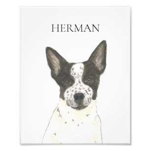 Personalized Black and White Heeler Cattledog Photo Print
