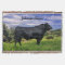 Personalized Black Angus Throw Blanket