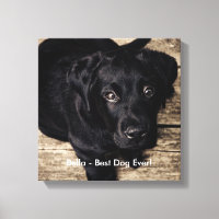 Personalized Black Lab Dog Photo and Dog Name