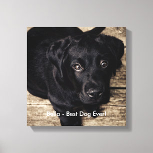 Personalized Black Lab Dog Photo and Dog Name Canvas Print