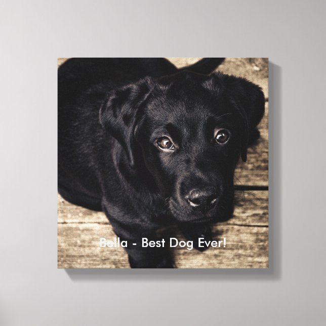 Personalized Black Lab Dog Photo and Dog Name Canvas Print (Front)