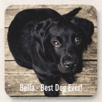 Personalized Black Lab Dog Photo and Dog Name