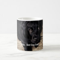 Personalized Black Lab Dog Photo and Dog Name