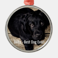Personalized Black Lab Dog Photo and Dog Name