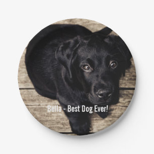 Personalized Black Lab Dog Photo and Dog Name Paper Plate