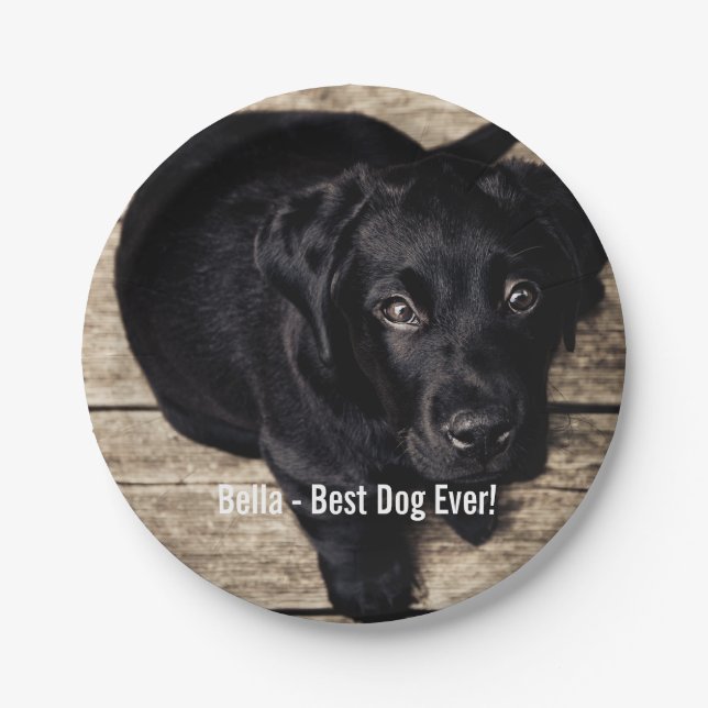 Personalized Black Lab Dog Photo and Dog Name Paper Plate (Front)
