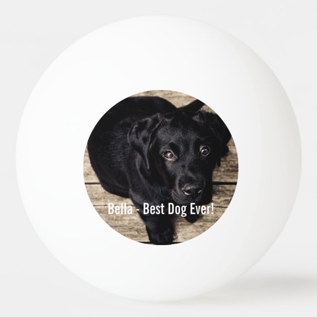 Personalized Black Lab Dog Photo and Dog Name Ping Pong Ball (Front)