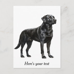 Personalized Black Labrador Retriever Decor Postcard