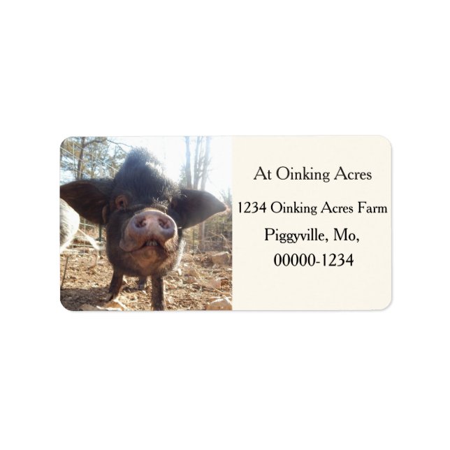 Personalized Black Mini Pig Address Labels (Front)