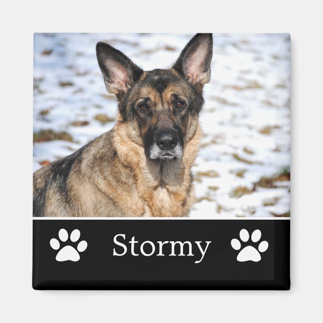 Personalized Black Pet Photo Magnet (Front)