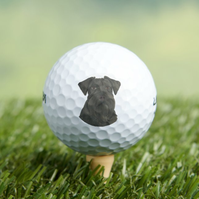 Personalized Black Schnauzer Golf Balls (Insitu Tee)