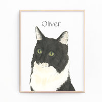 Personalized Black & White Ragamuffin Cat Art