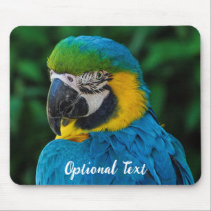 Personalized Blue and Yellow Macaw Parrot Mouse Pad