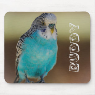 Personalized Blue Budgie Mousepad
