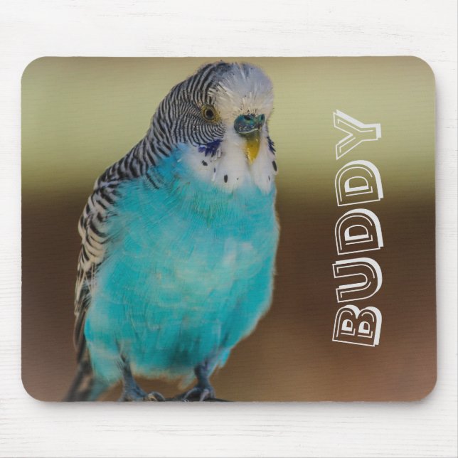 Personalized Blue Budgie Mousepad (Front)