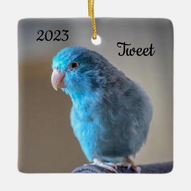 Personalized Blue Parrotlet Bird Ceramic Ornament (Front)