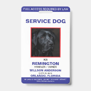 Personalized blue White Service Dog Photo ID Badge