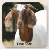 Personalized Boer Goat Farm
