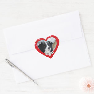 Personalized Border Collie Christmas Dog Pet Photo Heart Sticker