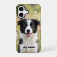 Personalized Border Collie Photo and Name