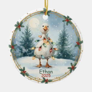 Personalized Boy Ornaments,Silly Goose Ornament 