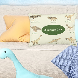Personalized Boys Dinosaurs Accent Pillow