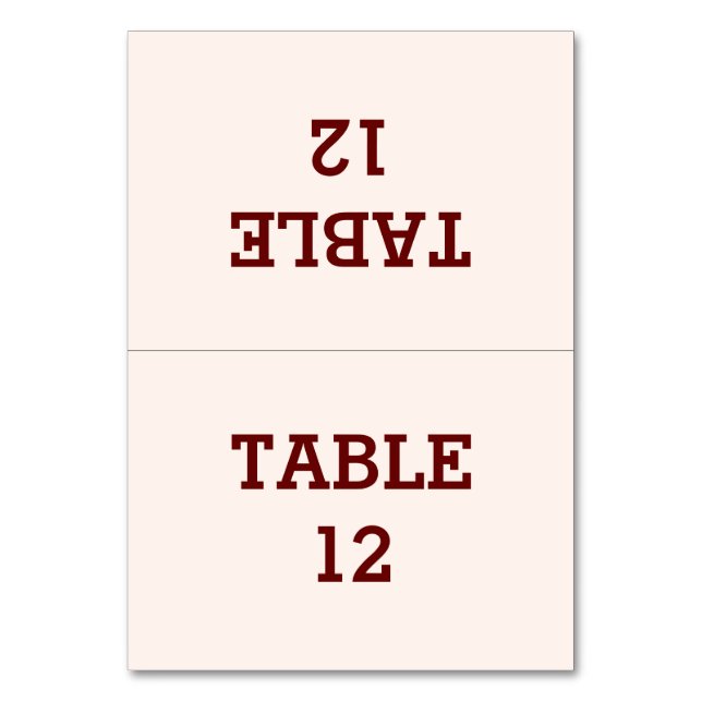 Personalized Bride & Groom Folded Table Card (Front)