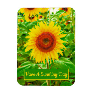 Personalized Bright Yellow Giant Happy Sunflowers Magnet