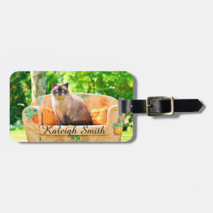 Personalized British Shorthair Cat on Orange Sofa Luggage Tag