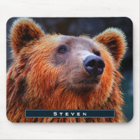 Personalized Brown Bear Portrait Wildlife Photo
