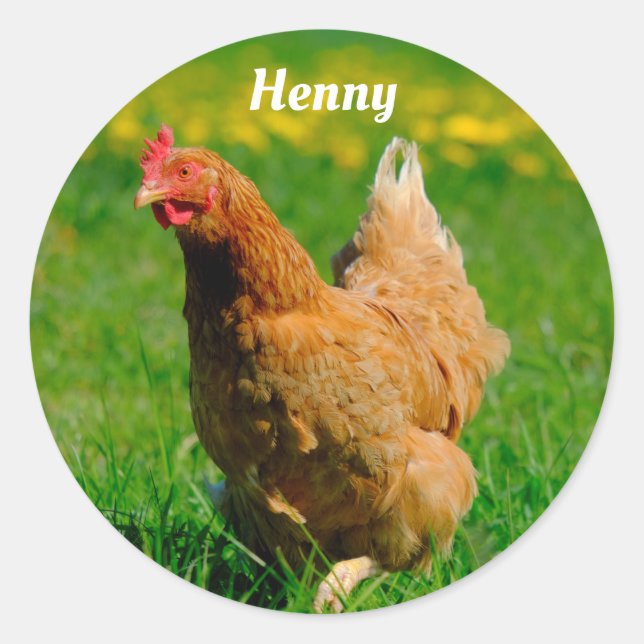 Personalized Brown Chicken in the grass Classic Round Sticker (Front)