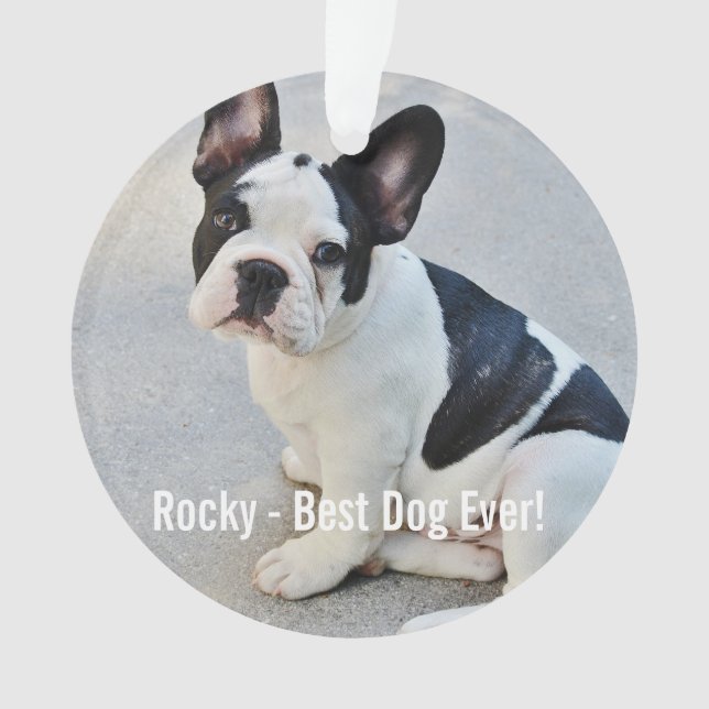 Personalized Bulldog Photo and Bulldog Name Ornament (Front)