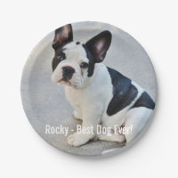 Personalized Bulldog Photo and Bulldog Name