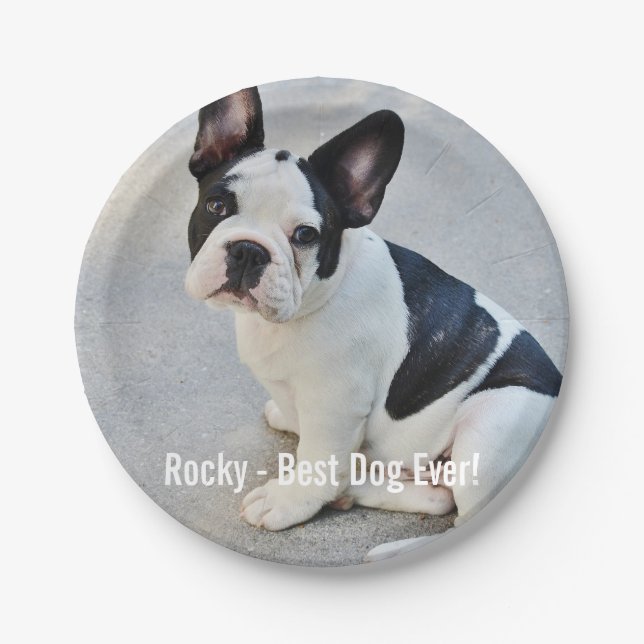 Personalized Bulldog Photo and Bulldog Name Paper Plate (Front)