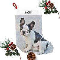 Personalized Bulldog Photo and Bulldog Name