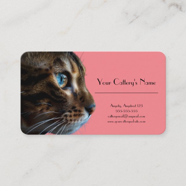 Personalized Business Card For Cattery (Front)