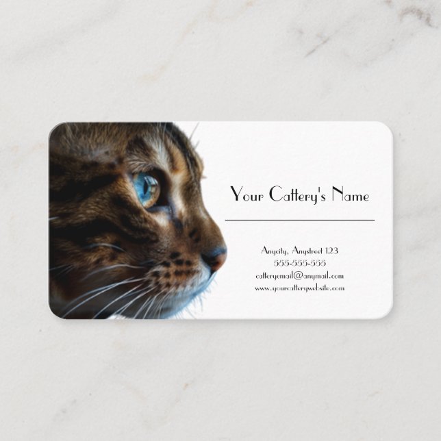 Personalized Business Card For Cattery (Front)