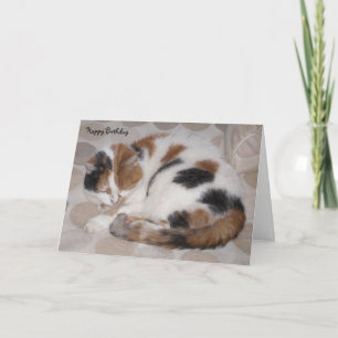 Personalized Calico cat curled up asleep Birthday Card