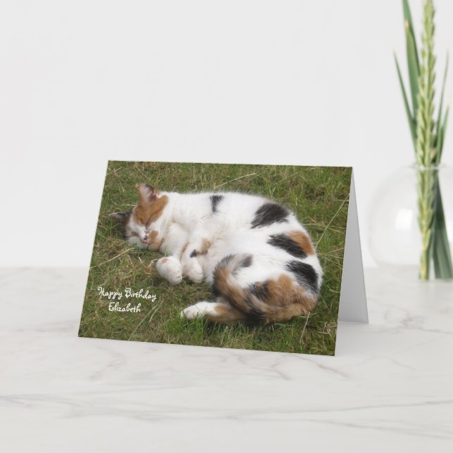 Personalized Calico cat curled up asleep Birthday Card (Front)