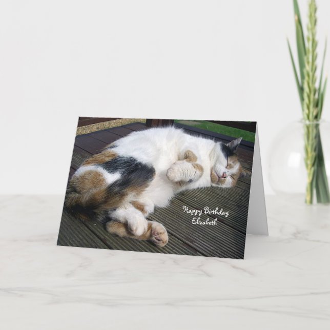 Personalized Calico cat curled up decking Birthday Card (Front)