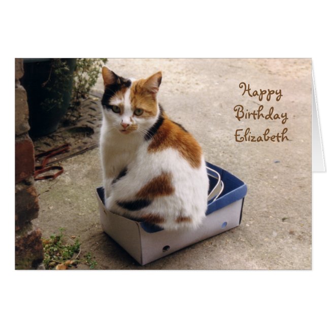 Personalized Calico cat sat in a box Birthday (Front Horizontal)