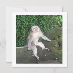 Personalized card - Funny monkey