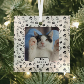 Personalized Cat Fish Bone & Pawprint Pet Photo Glass Ornament