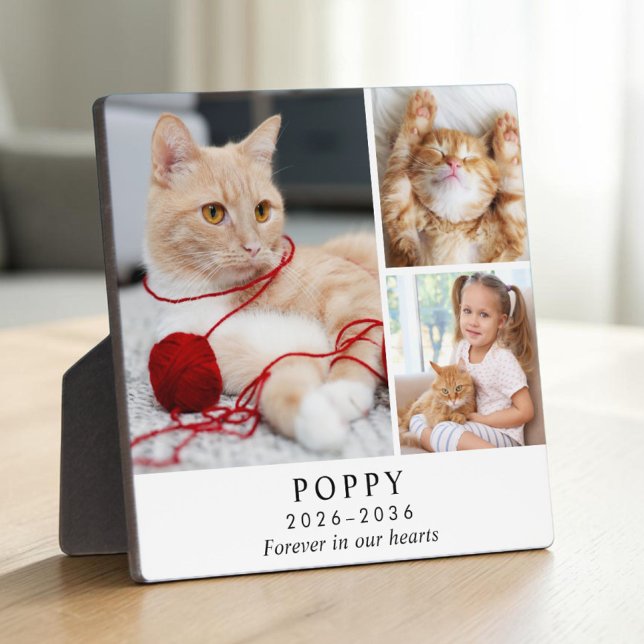 Personalized Cat Memorial Photo Collage Plaque (Personalized Cat Memorial Photo Collage Plaque)