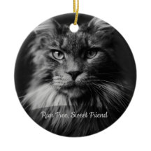 Personalized Cat Memorial Photo Ornament
