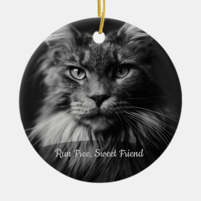 Personalized Cat Memorial Photo Ornament (Front)